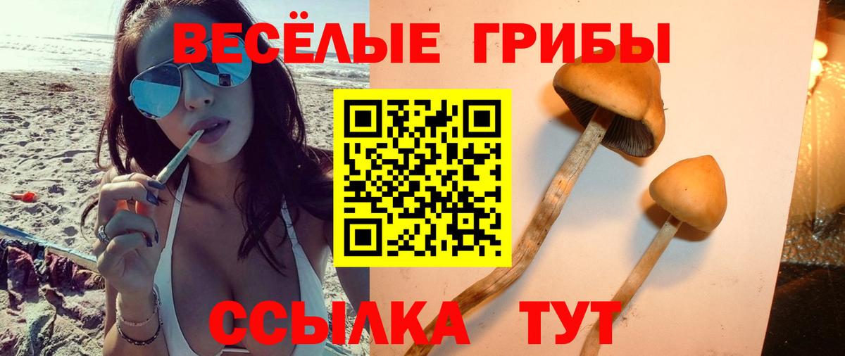 Псилоцибиновые грибы GOLDEN TEACHER Шелехов