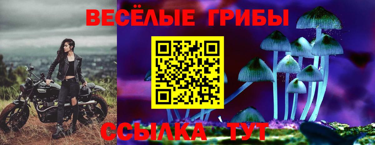 Шелехов  Галлюциногенные грибы Psilocybe  Псилоцибиновые грибы GOLDEN TEACHER  Вход с VPN 